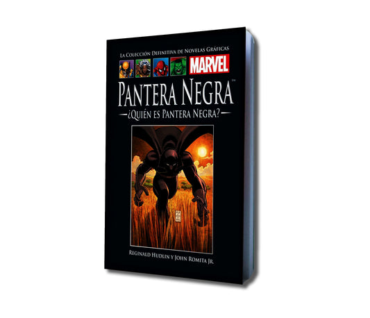 Pantera Negra - ¿Quién es Pantera Negra ?